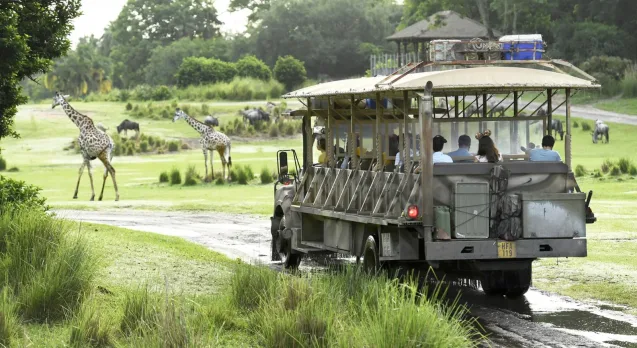 William Tulaba Walt Disney World Animal Kingdom Kilimanjaro Safari 2023