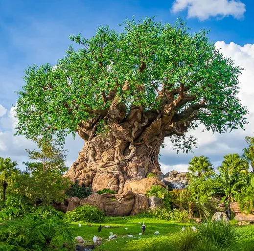 william-tulaba-walt-disney-tree-of-life-animal-kingdom William Tulaba Natick, MA